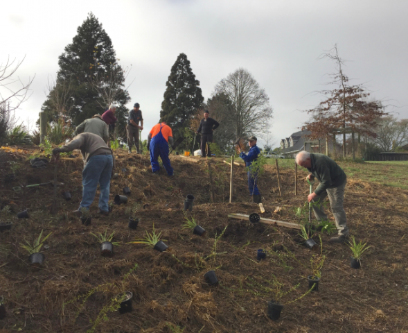 Going down the hillside 3. Cambridge Tree Trust